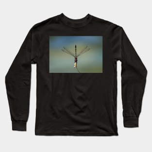 Perched Long Sleeve T-Shirt